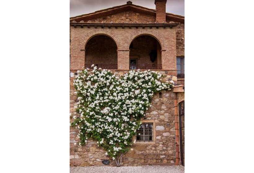 Отель Relais Sant Elena