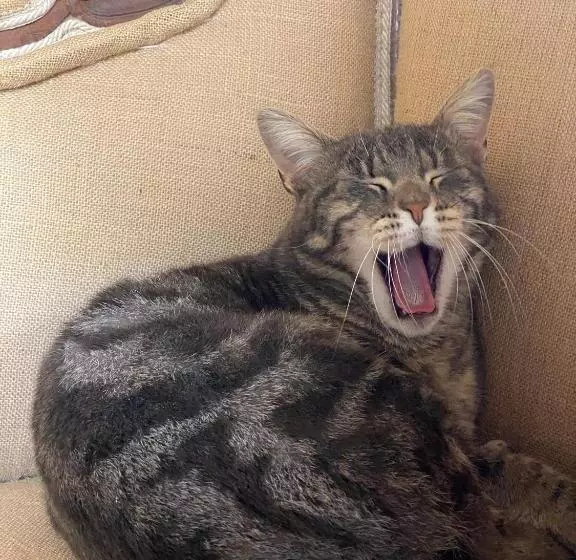 酒店 Relais Sant Elena