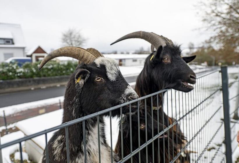 فندق Restaurant Berghof