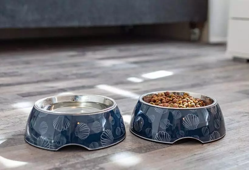 Stadt Gut Hotel Großer Kurfürst