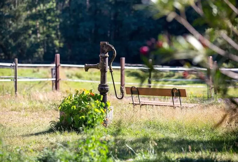 ホテル Traumzeithof