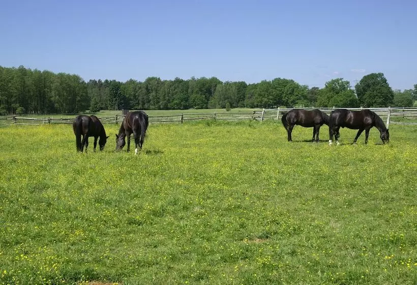 ホテル Traumzeithof