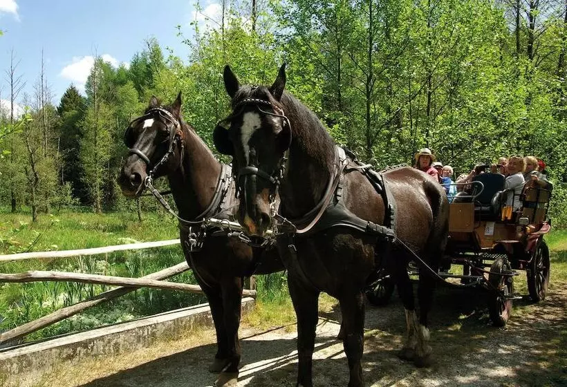 ホテル Traumzeithof