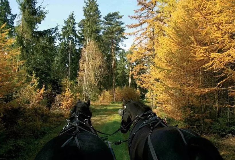 ホテル Traumzeithof