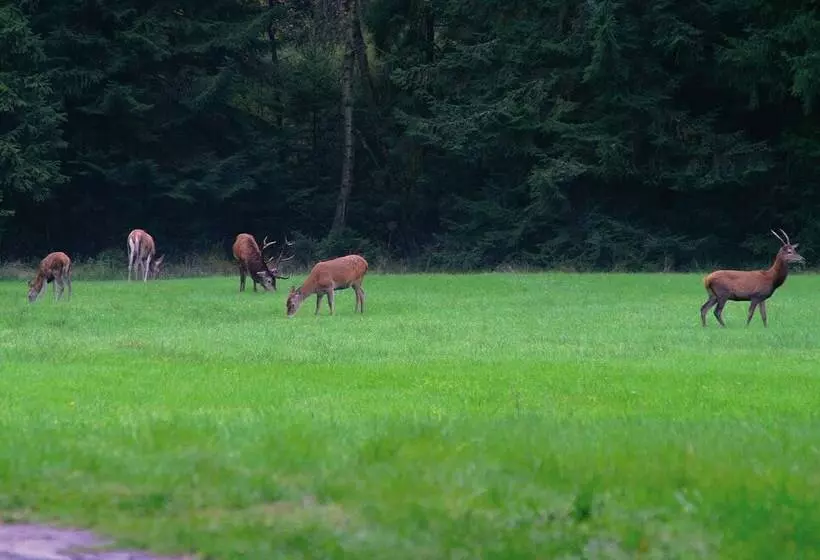 ホテル Traumzeithof