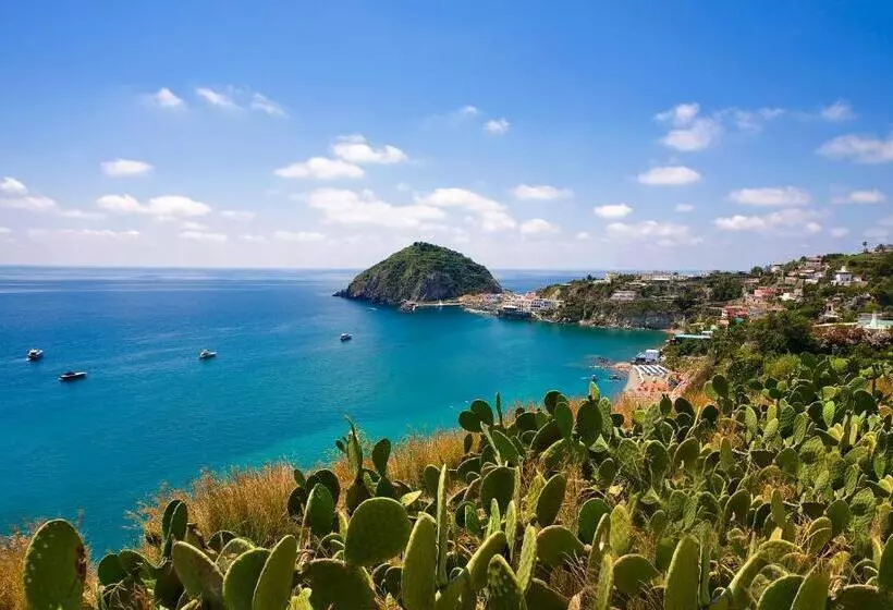 Отель Vittorio Beach Resort