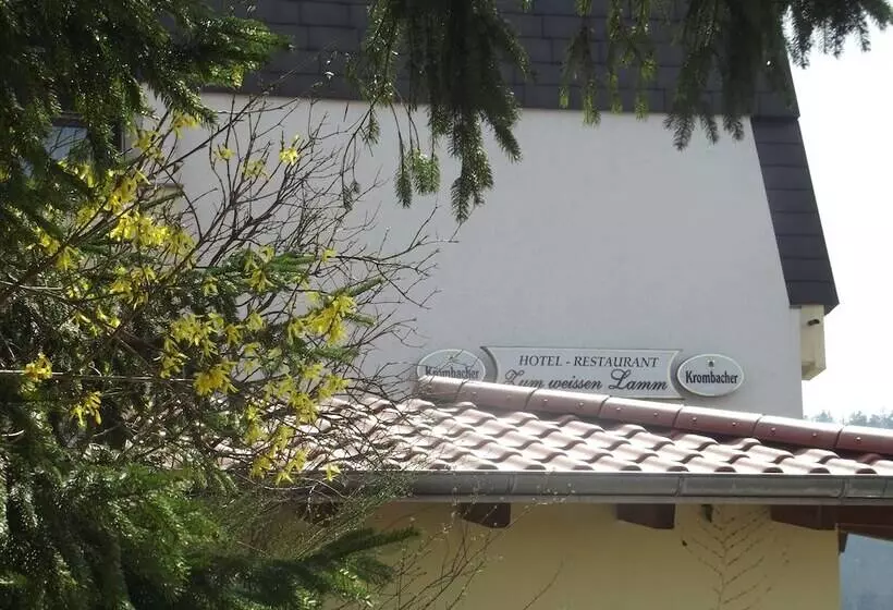 Отель Zum Weissen Lamm