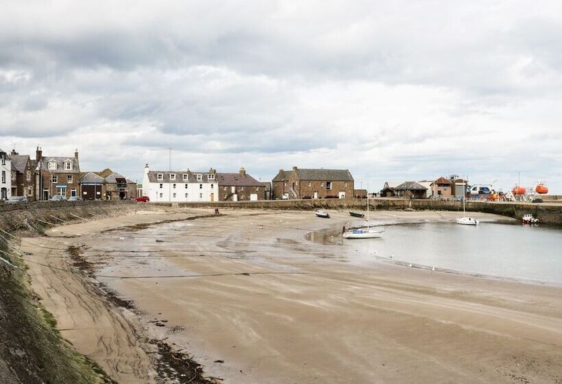 Dunnottar Woods House