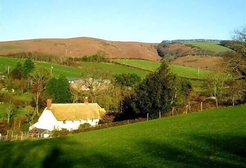The Dairy