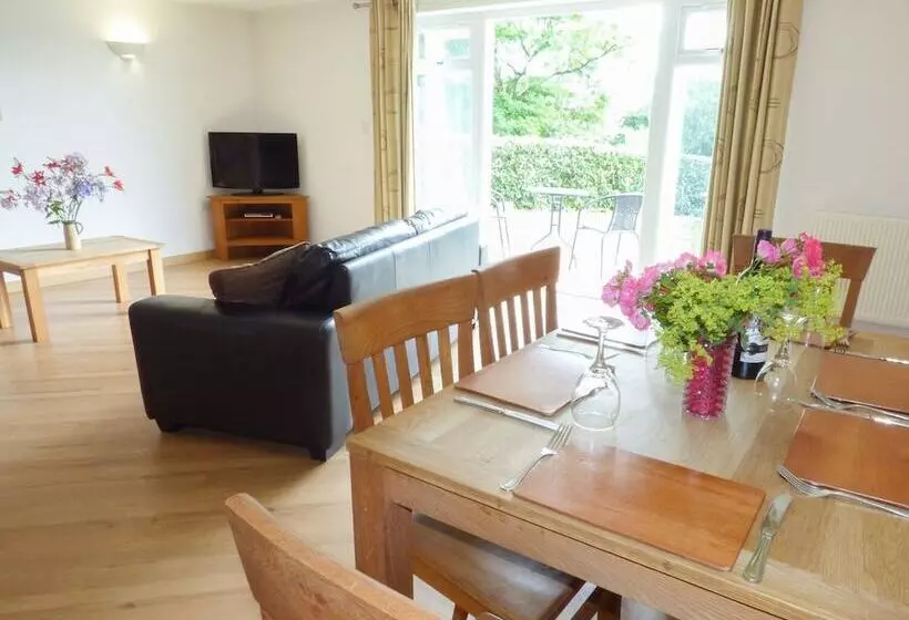 Apartment B1