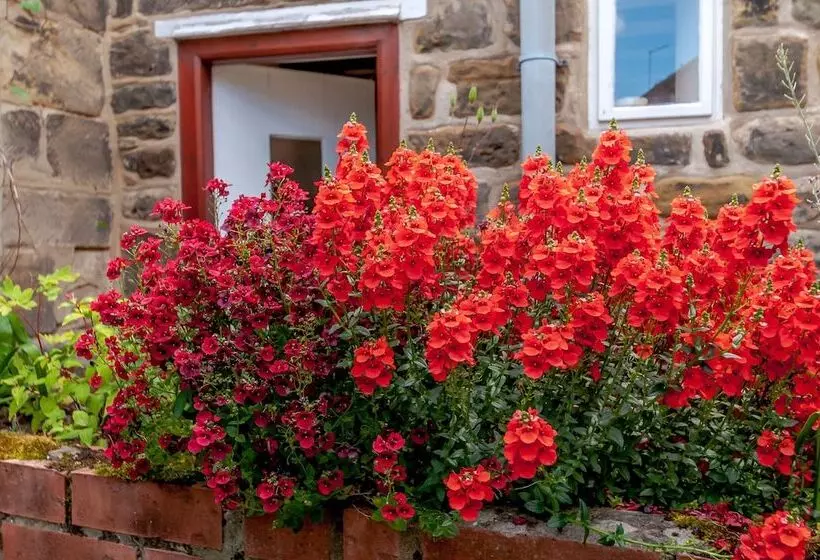 Chimes Cottage