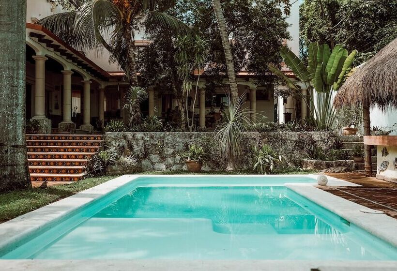 مبيت وإفطار Coco Suites Cozumel