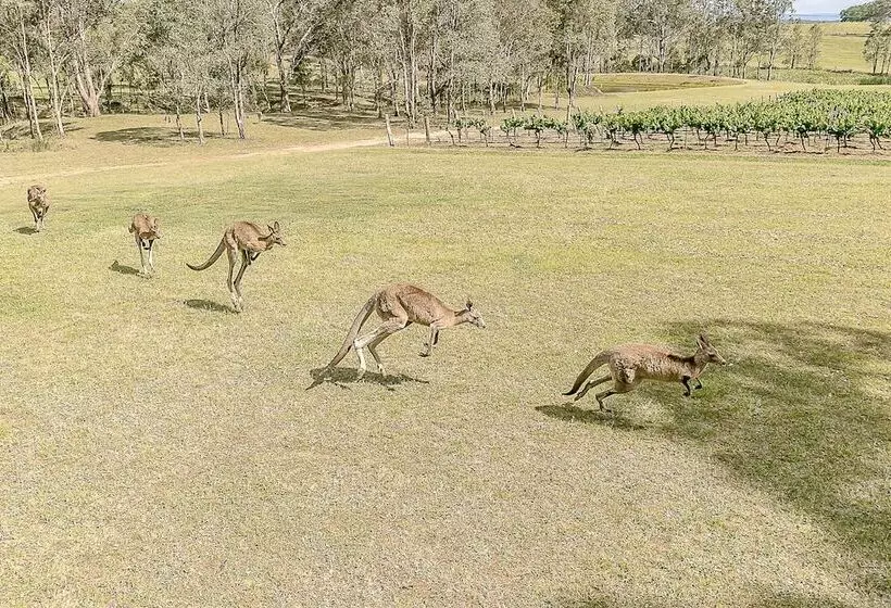 Blackwattle Luxury Retreats