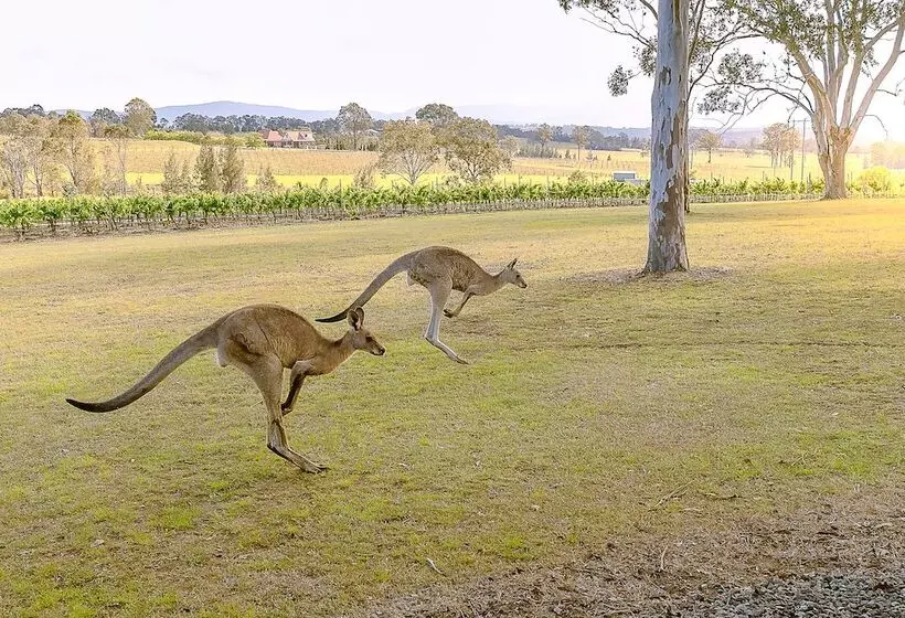 Blackwattle Luxury Retreats