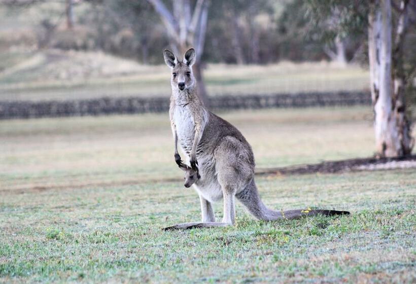 Blackwattle Luxury Retreats