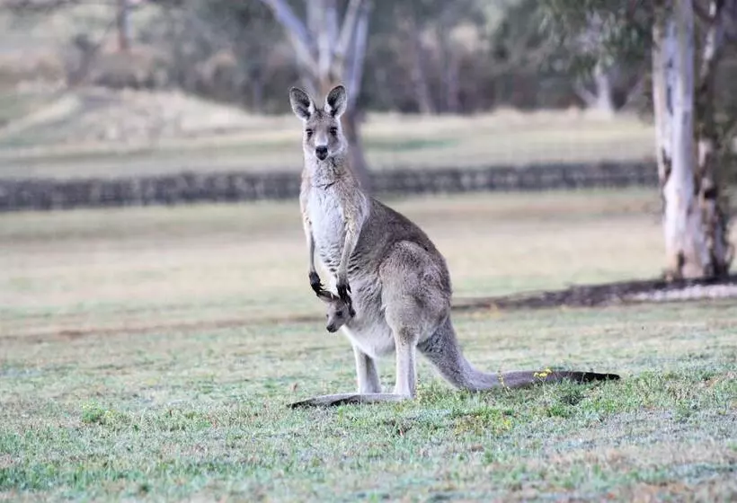 Blackwattle Luxury Retreats