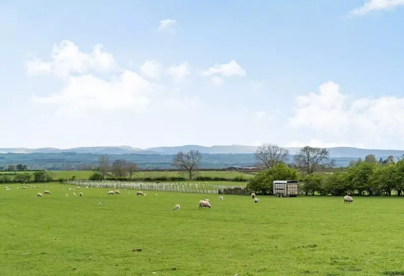 Cross Fell View