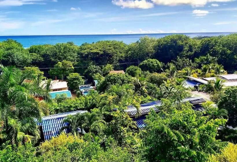 Horizon Ocean View Hotel And Yoga Center