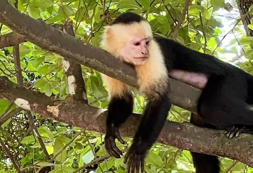 Horizon Ocean View Hotel And Yoga Center