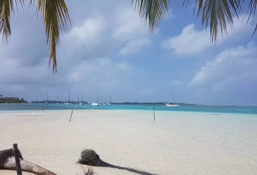 ホテル Cabanas Narasgandub - Naranjo Chico