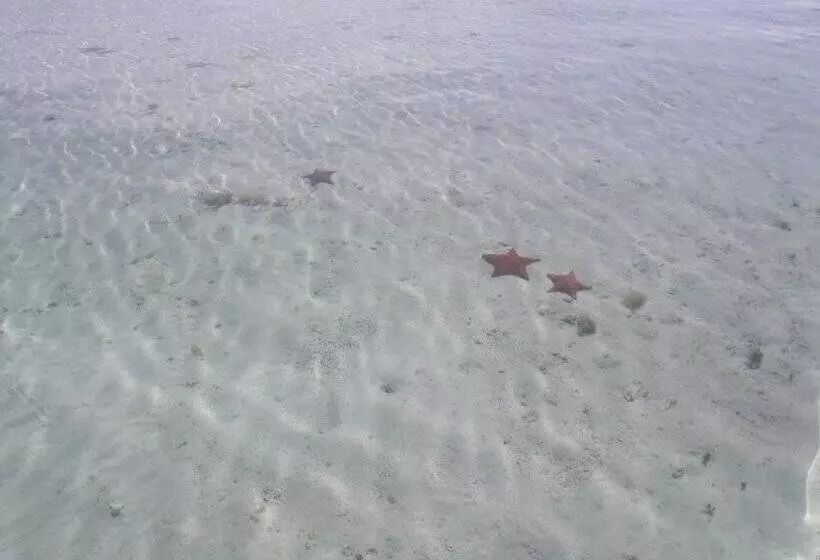 ホテル Cabanas Narasgandub - Naranjo Chico