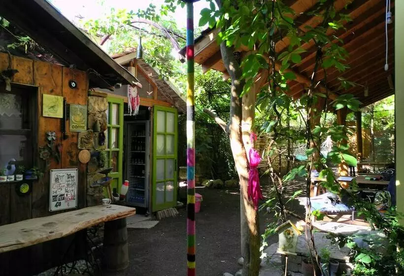 پانسیون Daphne House