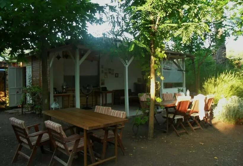 پانسیون Daphne House