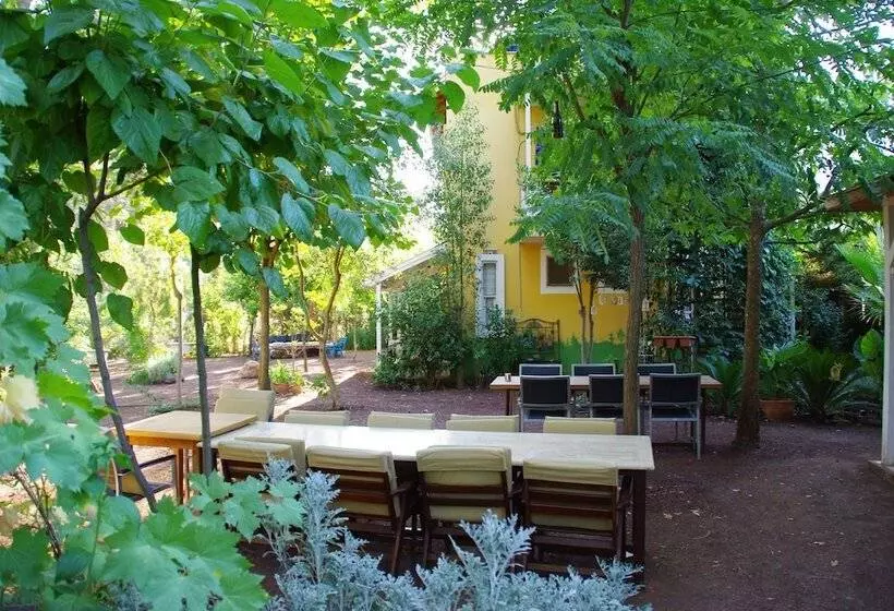 پانسیون Daphne House