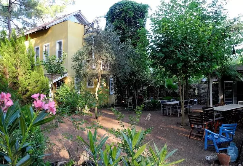 پانسیون Daphne House