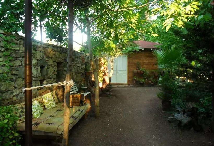 پانسیون Daphne House