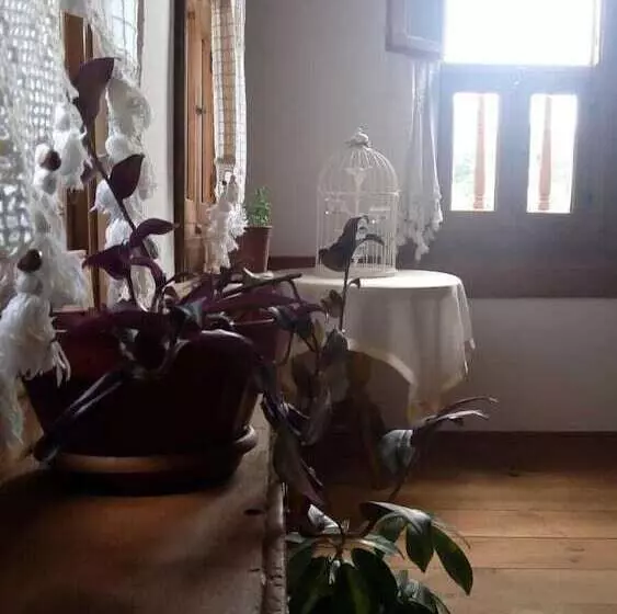 ペンション Melek Hanim Konagi