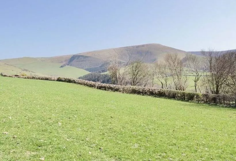 Bryndan