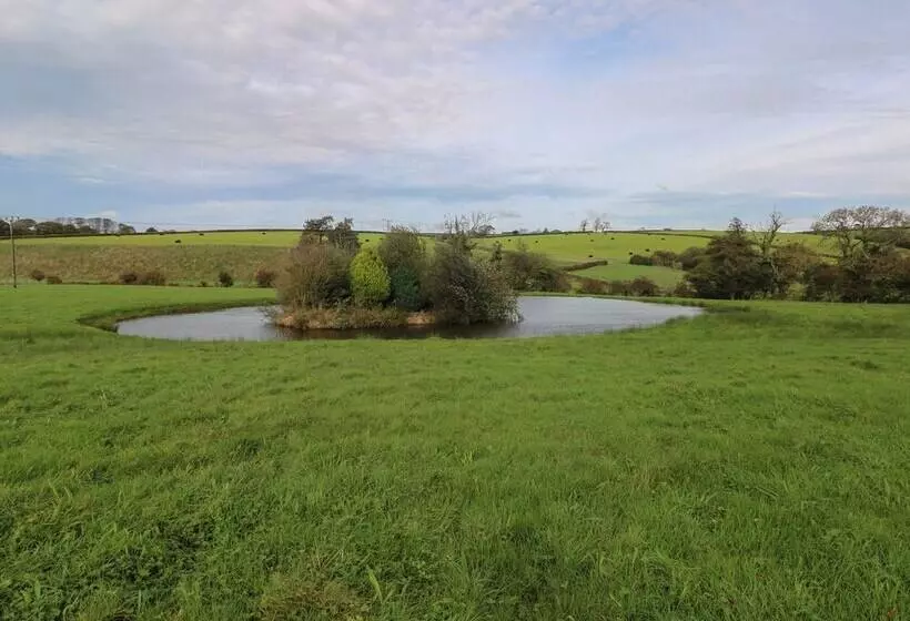 Meadow View