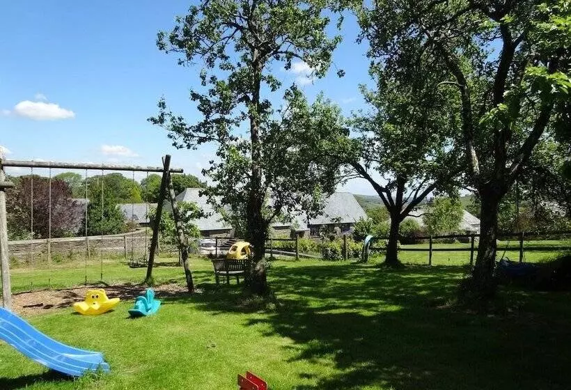 Oak Tree