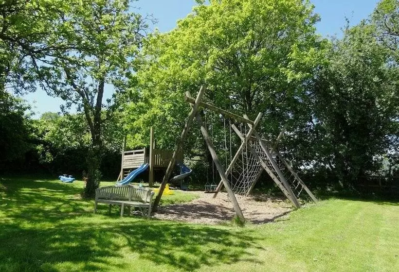Oak Tree