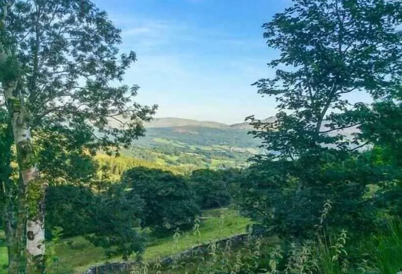 Tyn Llwyn