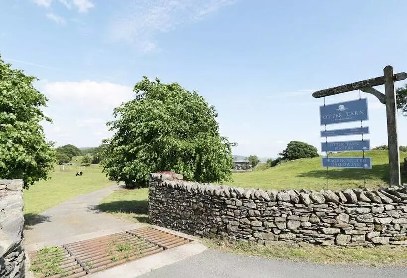 Billy Boo