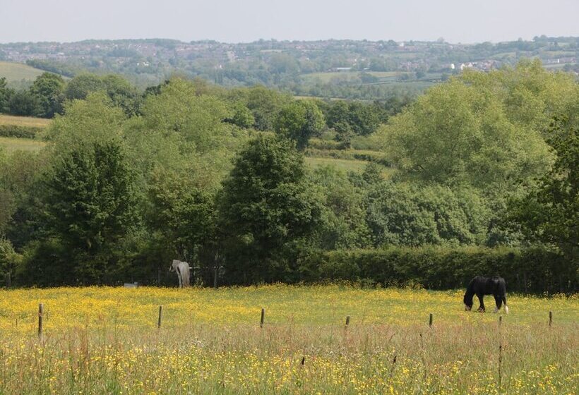 Just A Cottage, Newlands Farm