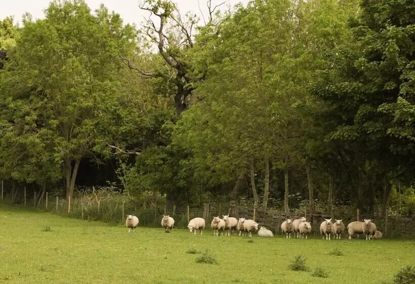 Just A Cottage, Newlands Farm