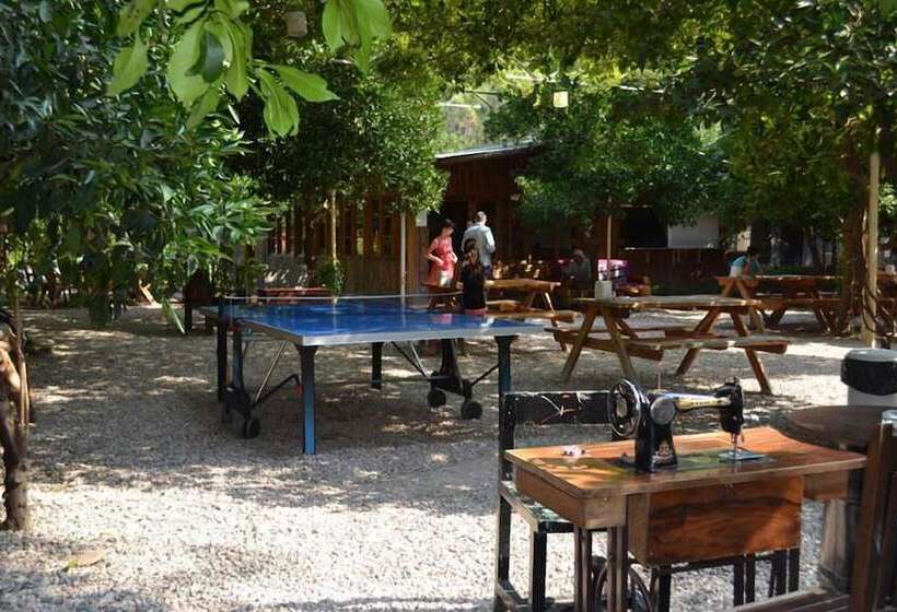 هاستل Olympos Doga Pansiyon