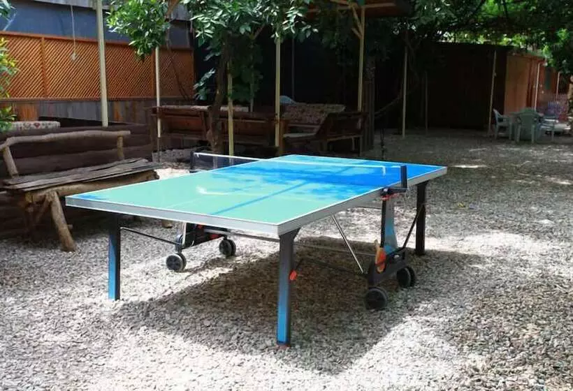 هاستل Olympos Doga Pansiyon