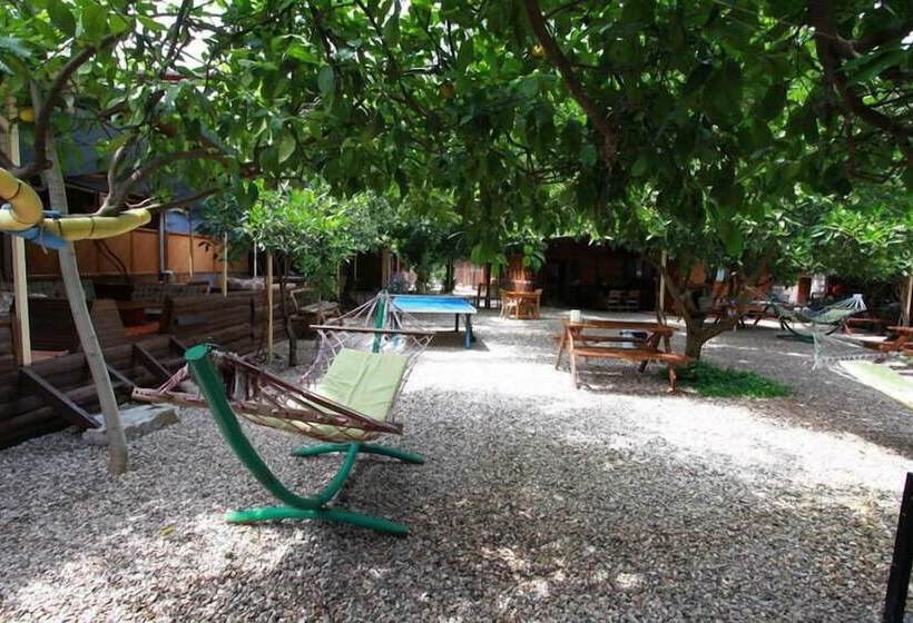 هاستل Olympos Doga Pansiyon