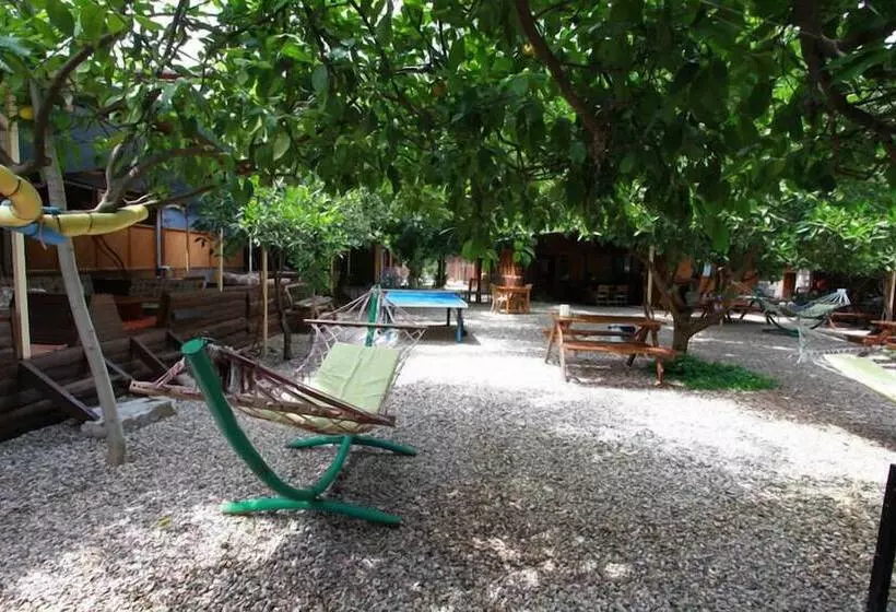 هاستل Olympos Doga Pansiyon