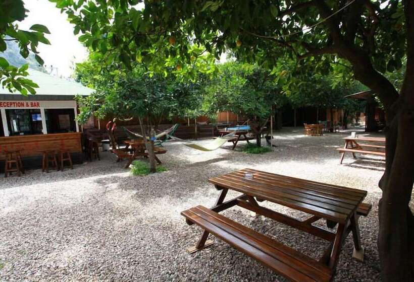 هاستل Olympos Doga Pansiyon