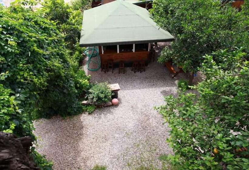 هاستل Olympos Doga Pansiyon