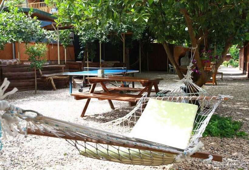 هاستل Olympos Doga Pansiyon