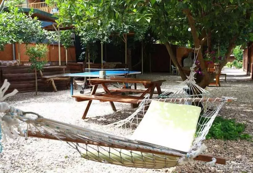 هاستل Olympos Doga Pansiyon