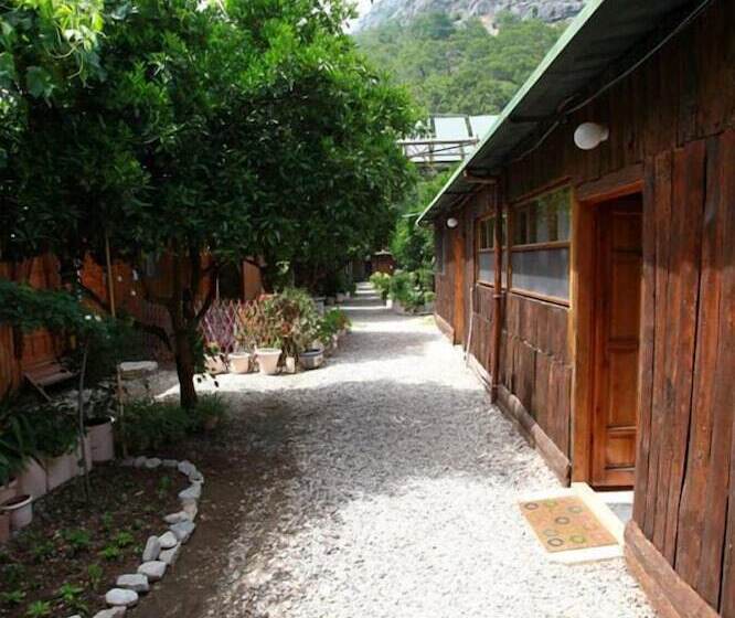 هاستل Olympos Doga Pansiyon