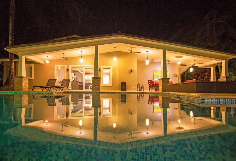 ホテル Colibri Boutique