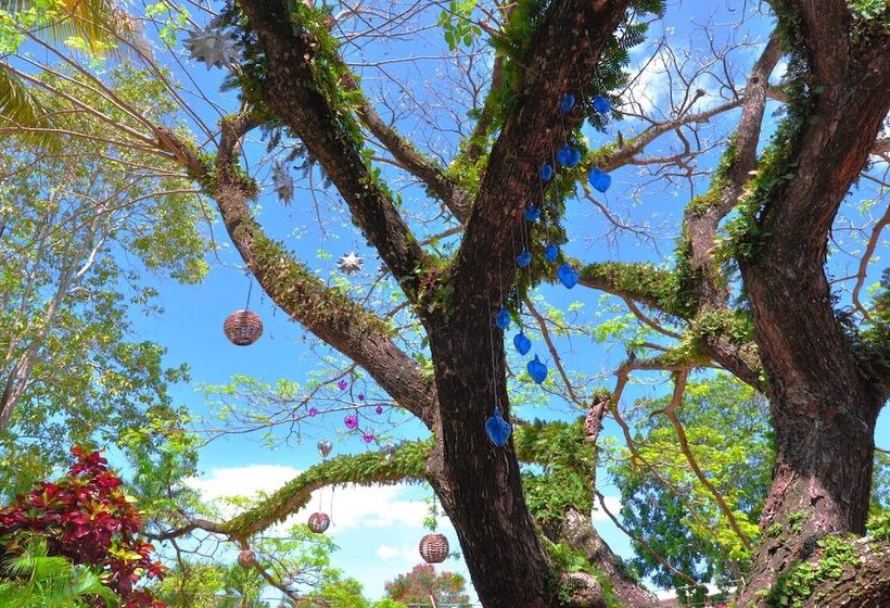 ホテル Colibri Boutique